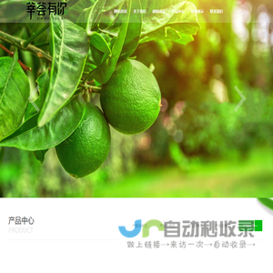 莘荟有你